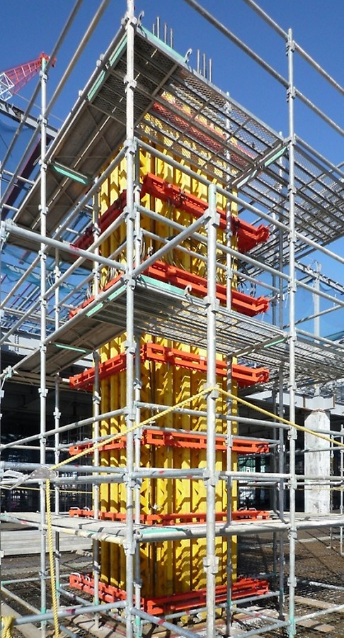 Dプロジェクト八潮 <br/>