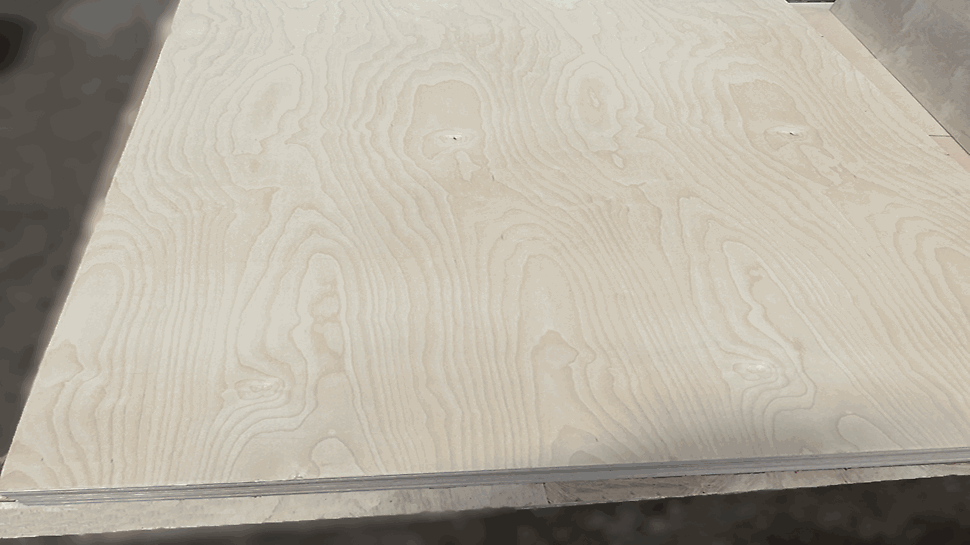 Birch