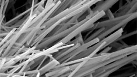 The crystallization process under the microscope
