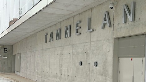 Tammelan stadion, Tampere