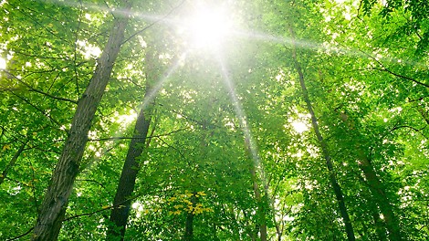 Wszystkie podzespoły z polimerów technicznych można poddać recyklingowi w 100%.<br/>