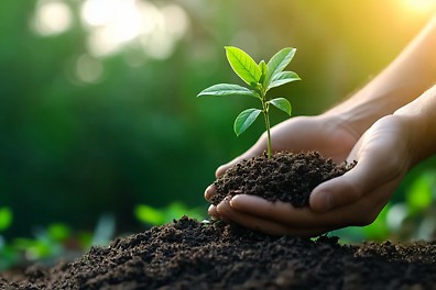 Lesní certifikace Lesní certifikace