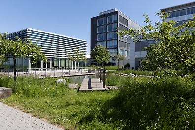 Der PERI Campus am Stammsitz des Unternehmens in Weißenhorn. So wie hier bereits geschehen werden auf dem gesamten Werksgelände allein im Jahr 2024 rund 1.500 qm Flächen naturnah gestaltet. (Foto: PERI SE)