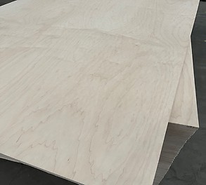 Maple Plywood