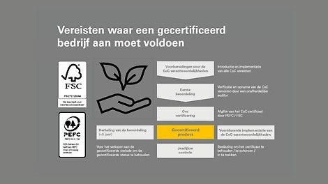 Plywood en Timber certificering cyclus