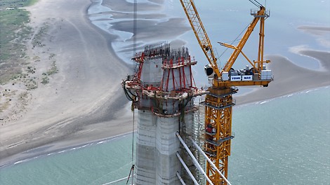 現場レポート (2025年8月時点)