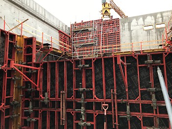 TRIO un Domino veidņi