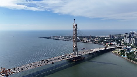 現場レポート (2025年8月時点)