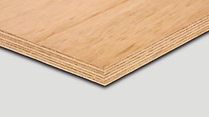 Radiata Pine von PERI ist ein Kiefernsperrholz für Holzbau, Möbelfertigung, Messebau