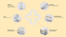 The PERI UP Modular Scaffolding Kit has been designed in such a way to ensure that a very wide range of applications can be achieved with just a few different system components. This guarantees an increase in cost-effectiveness along with a range of other benefits for users.