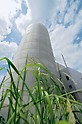 Elektrownia wykorzystująca biomasę w centralnym zakładzie produkcyjnym w Weissenhorn.