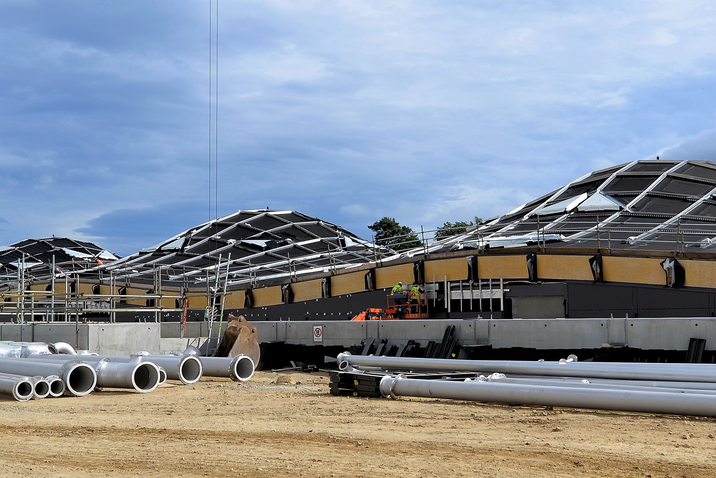 A timber gridshell shapes the undulating roof and gives the distillery its unique geometry