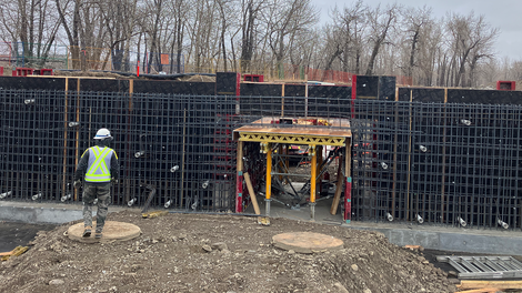 Inglewood Bird Sanctuary