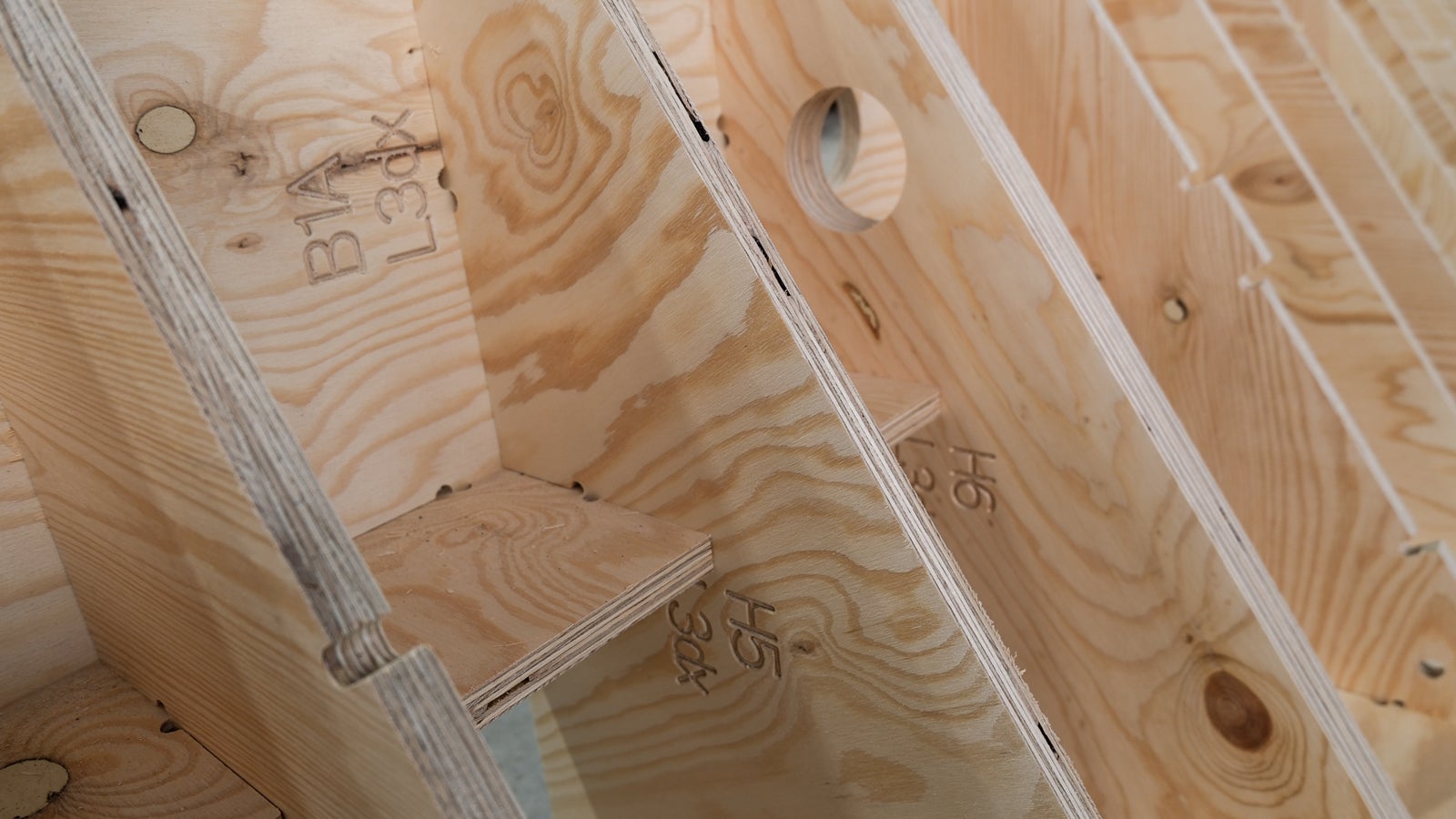 DataForm.Work close-up gemonteerd