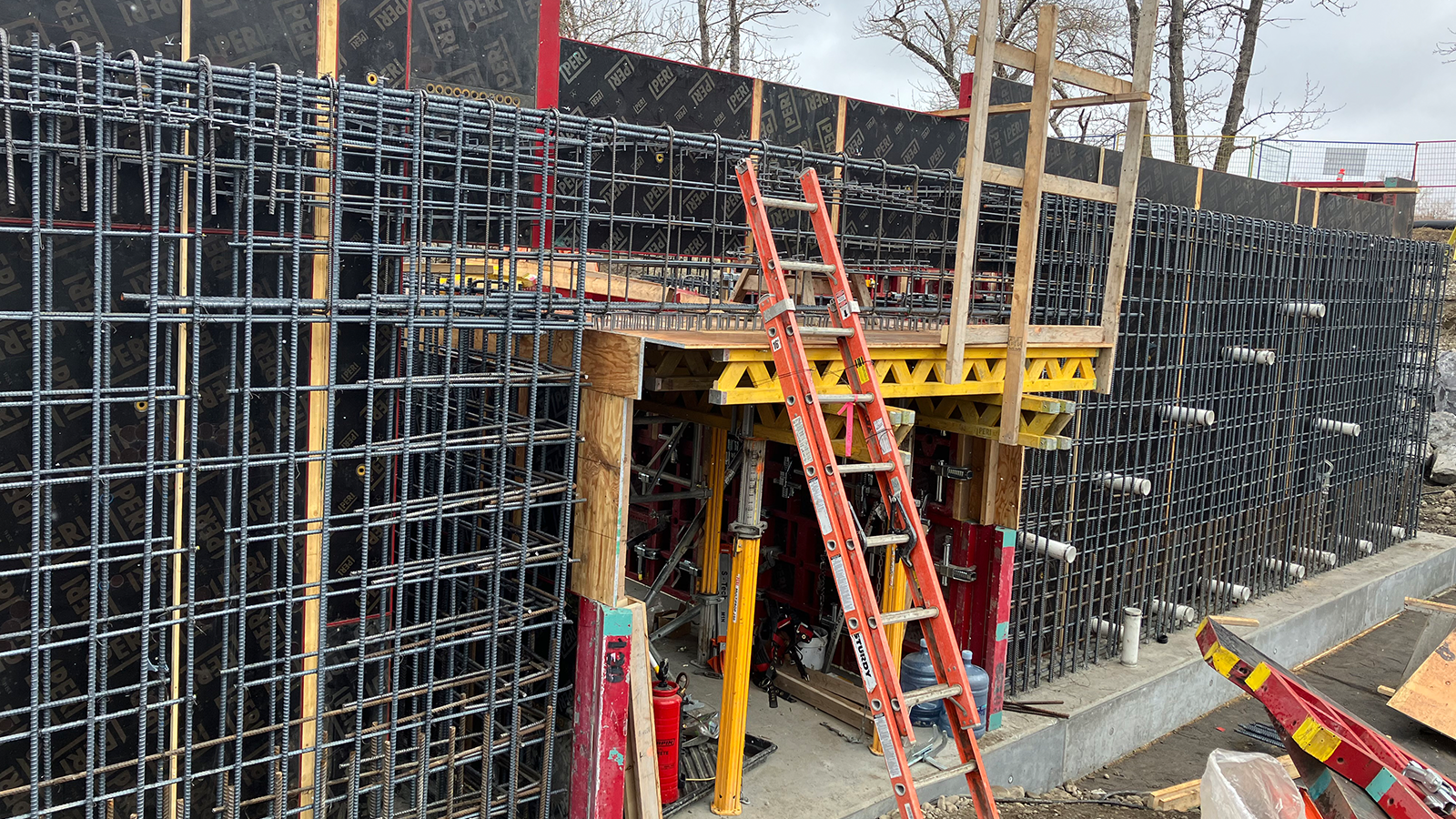 Inglewood Bird Sanctuary