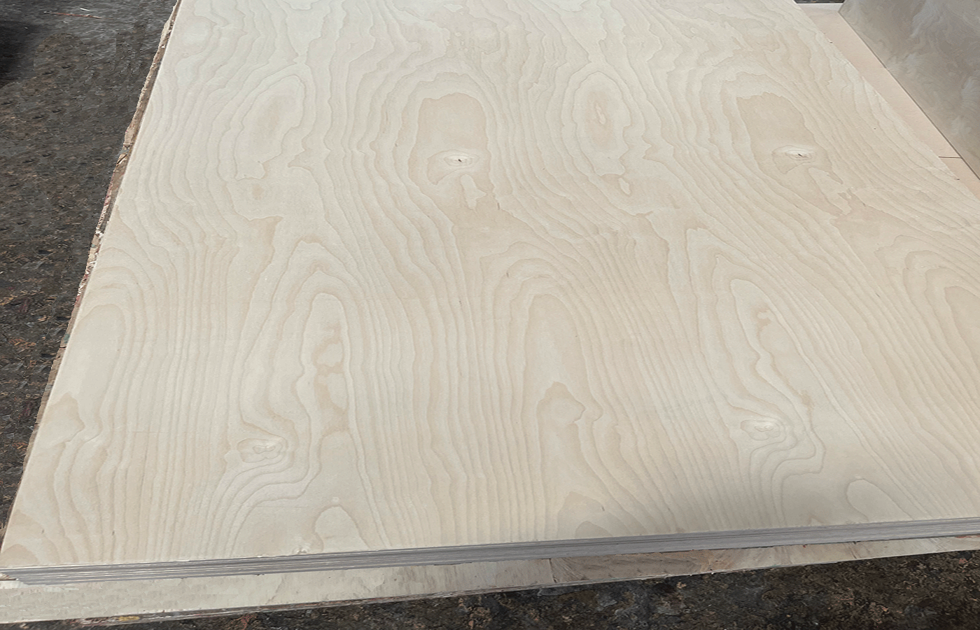Birch plywood
