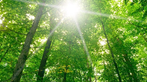 Wszystkie podzespoły z polimerów technicznych można poddać recyklingowi w 100%.<br/>