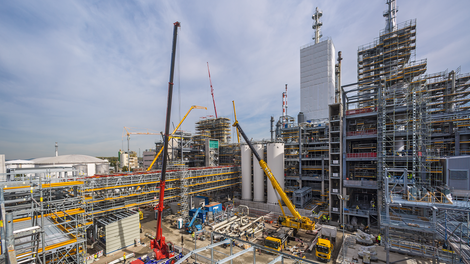 Применение лесов в химической и пищевой промышленности