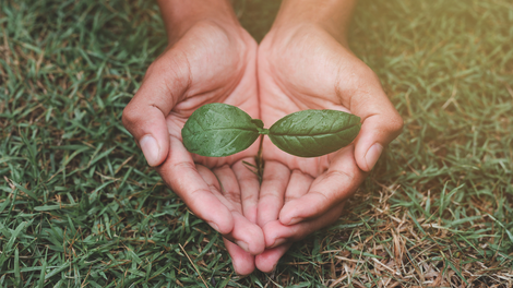 Slik jobber vi med bærekraft