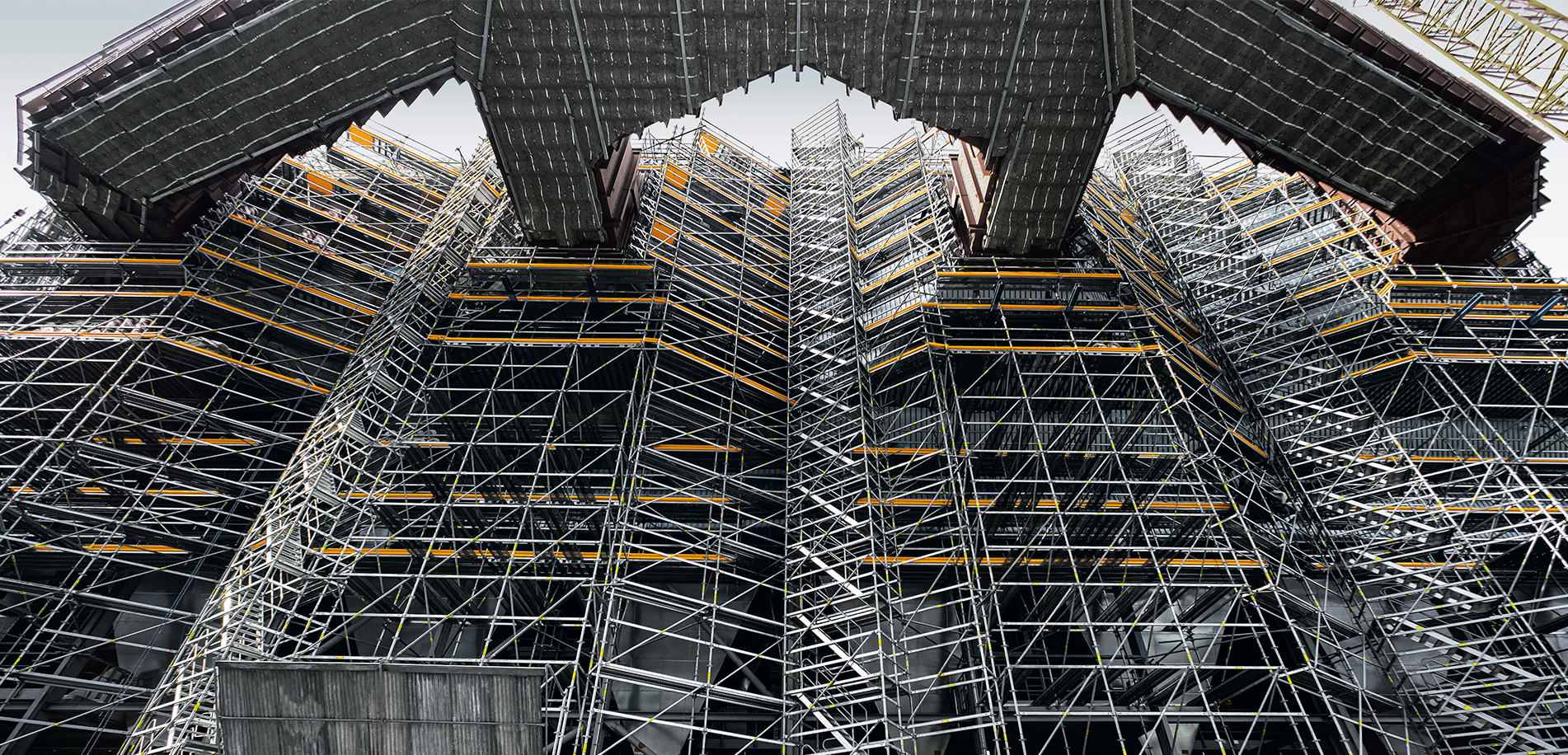 Леса в энергетической отрасли