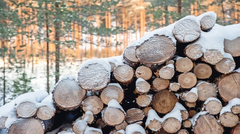 PERI Pave is essentially a sustainable product. The birch wood used is robust and particularly durable. It comes from certified cultivation areas. In addition, production is energy-efficient and any waste products are completely recycled. In addition, the repair enables an even longer service life.