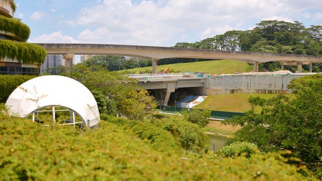 View of completed Y-Shaped Pier Bridge