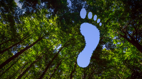 PERI Norge AS CO2-avtrykk 