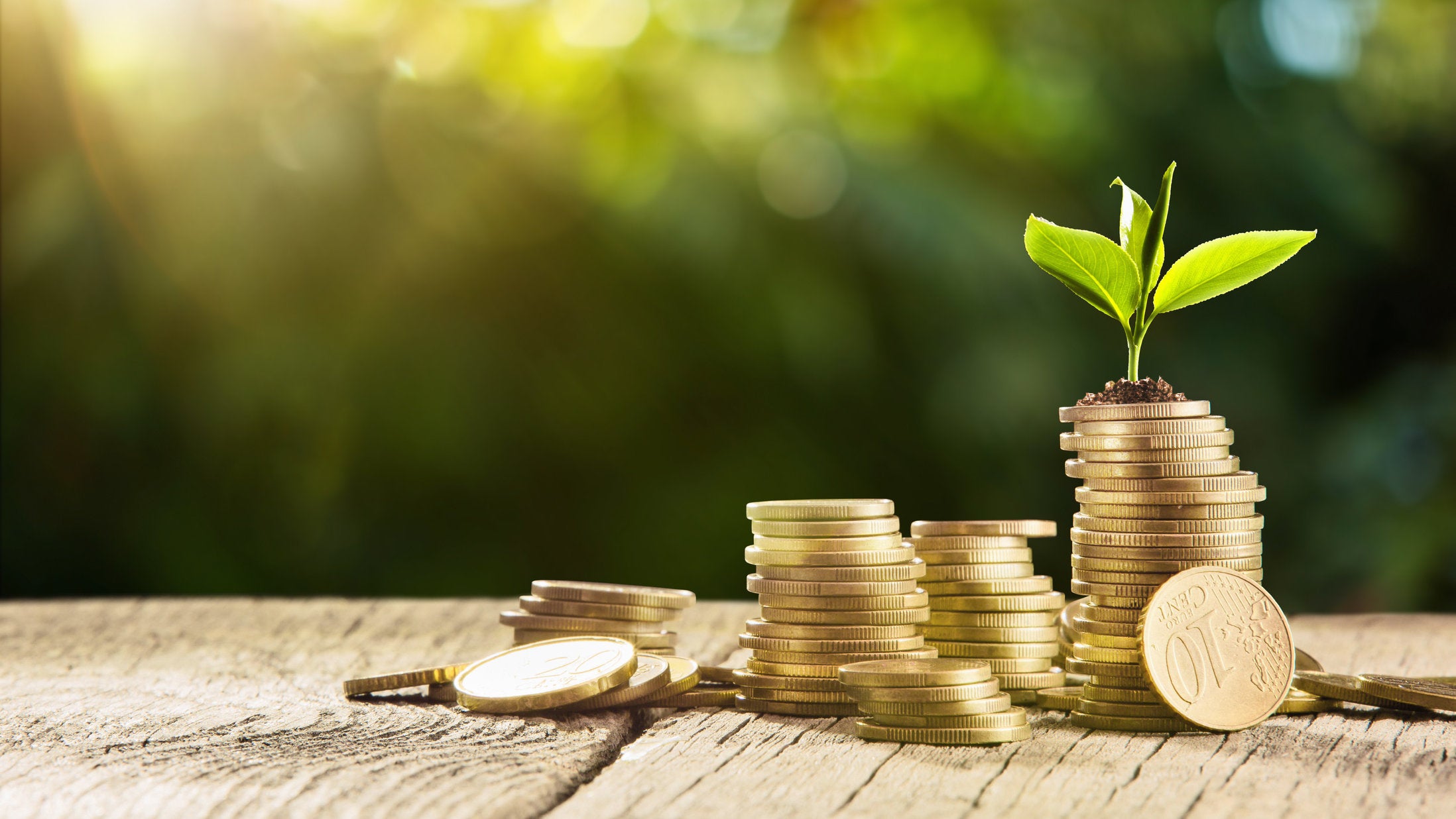 Nachhaltig und günstig