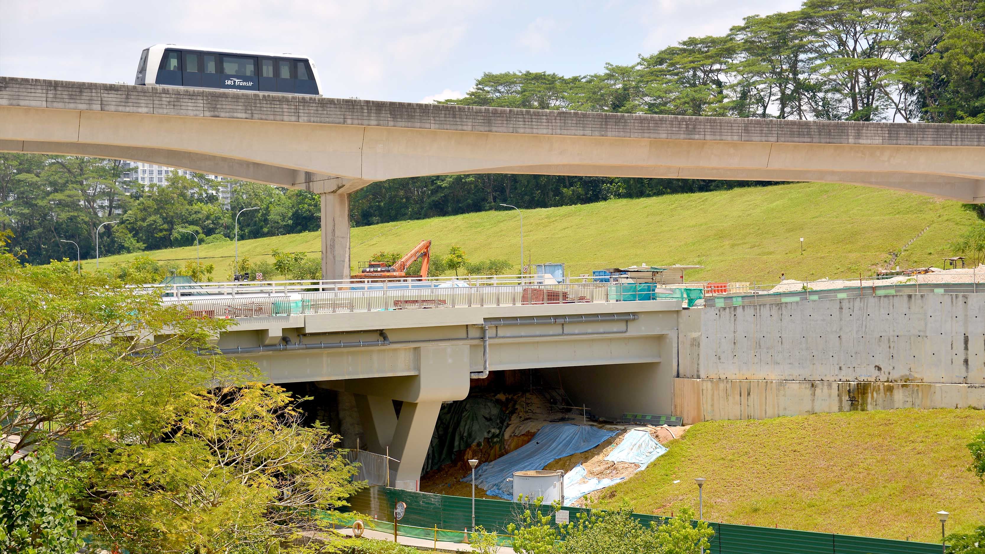 Overview of Y-Shaped Pier Bridge