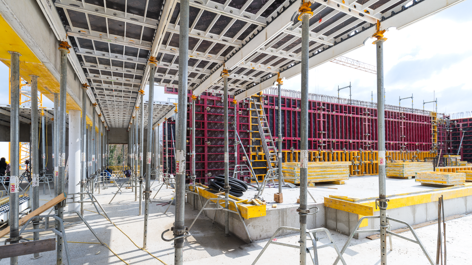 Forskalingsguide: Eksperten svarer på de vanligste spørsmålene