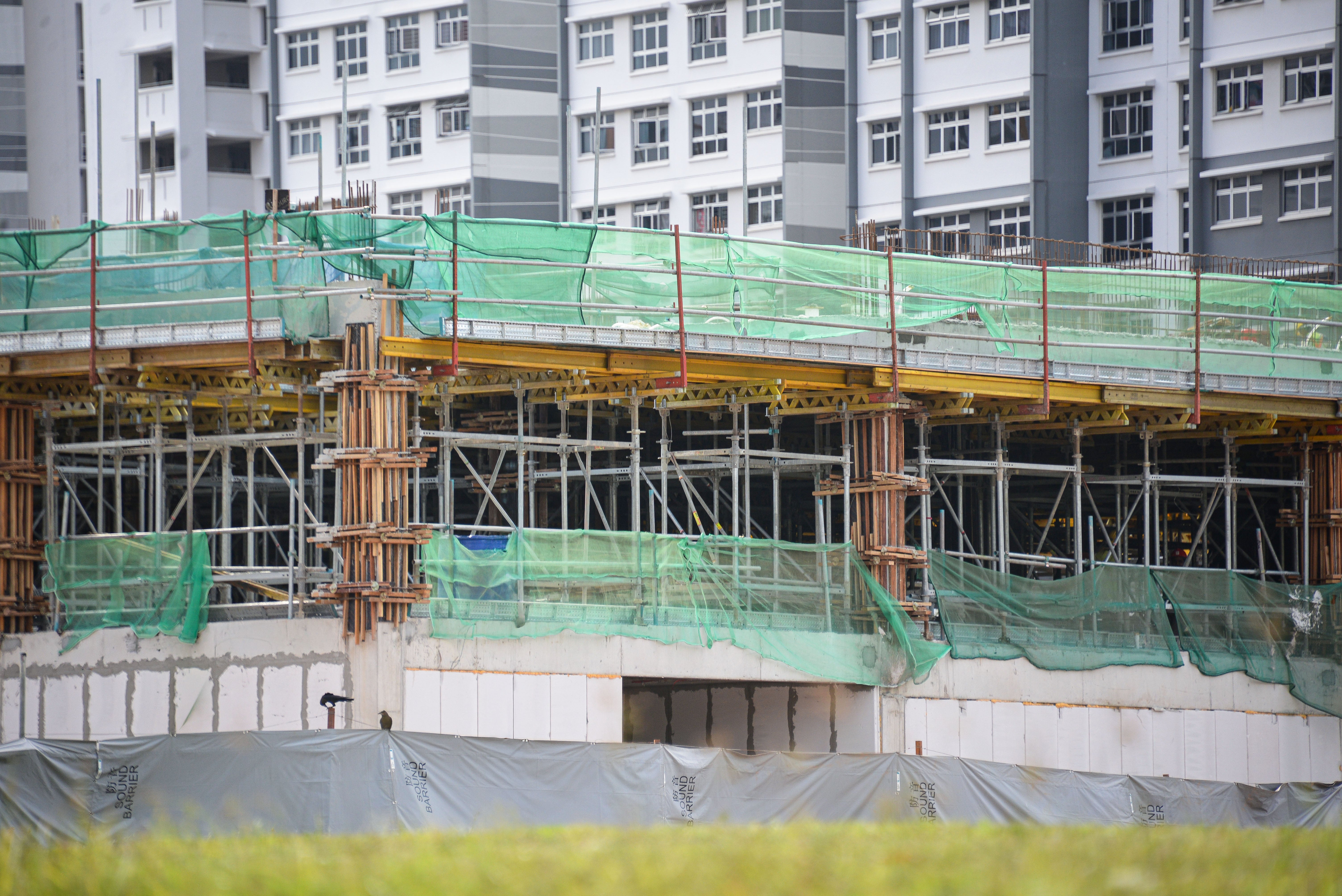 GT 24 Girders as primary and VT 20 Girders as secondary beam