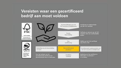 Plywood en Timber certificering cyclus