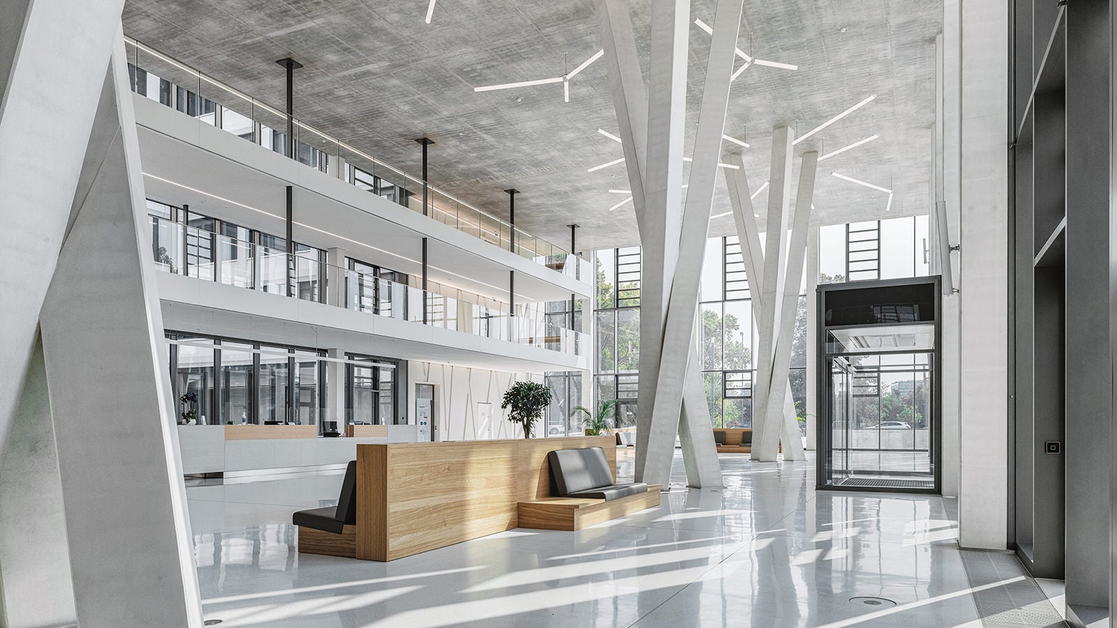 The three groups of tree-like supports tower over three storeys in the foyer. PERI developed a highly complex 3D special formwork made of steel elements with an overall height of 150 mm, which consisted of 63 individually designed and CNC laser-cut individual parts.<br/>(Photo: Thilo Ross)<br/>