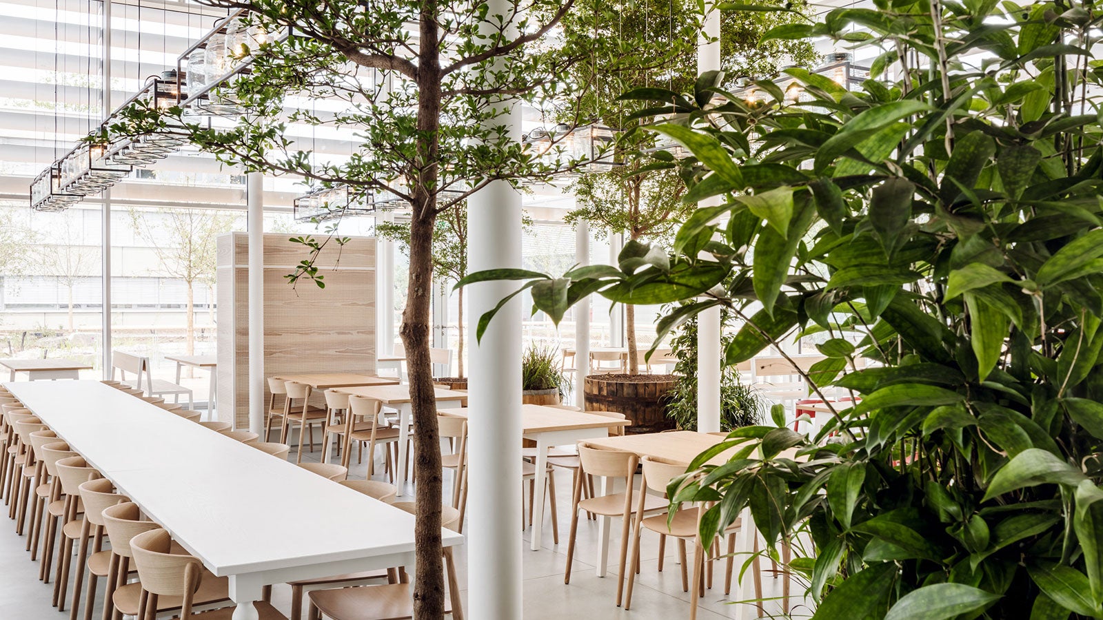 PERI Canteen Inside