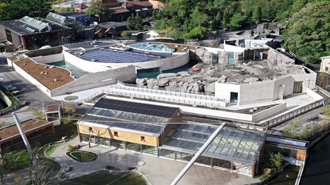 Dall &amp; Lindhardtsen